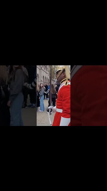 Rude tourist laugh #horseguardsparade