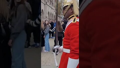 Rude tourist laugh #horseguardsparade