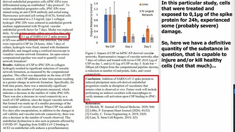 Evaluating Safetyness And Efficiency Of COVID-19 Vaccines With Hard Scientific Data