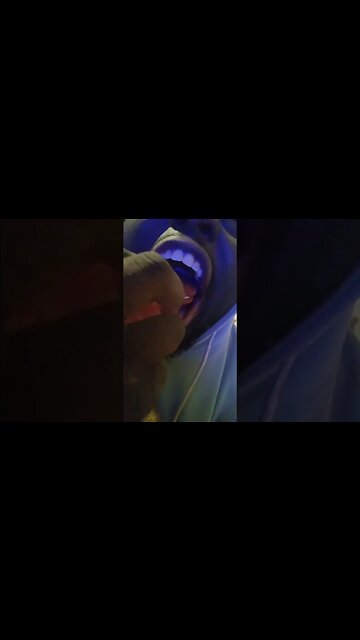 Japanese RedVelvet Oreo cookies #shorts #cookies #cookie #yummyfood #cake #asmrvideo #eat #delicious