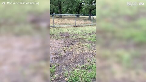 Little girl has great fun in muddy puddle