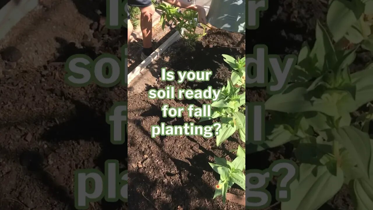 Get Your Soil Ready for Fall Planting! #fallplanting #gardensoil