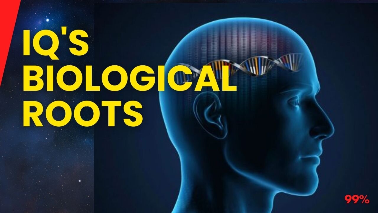 Jordan Peterson on Nature vs. Nurture: The Biological Basis of IQ