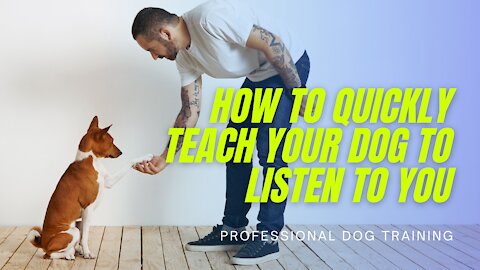 How to quickly teach your dog to listen to you | Learn why your dog wont listen to you