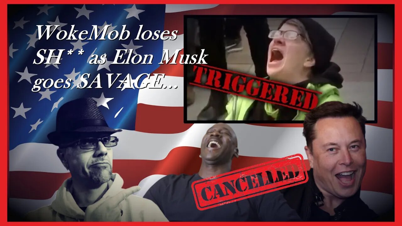 WN...WOKEMOB TRIGGERED...ELON MUSK "COME AT ME , BRO..."