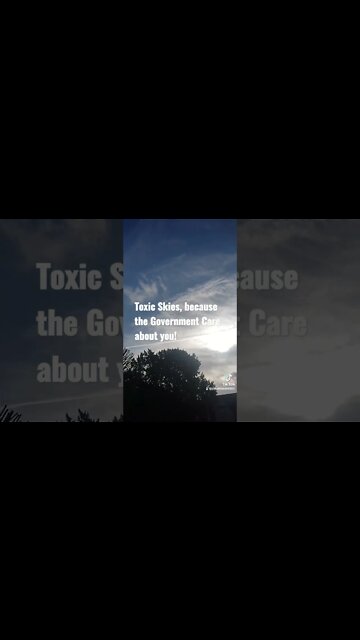 Toxic Skies