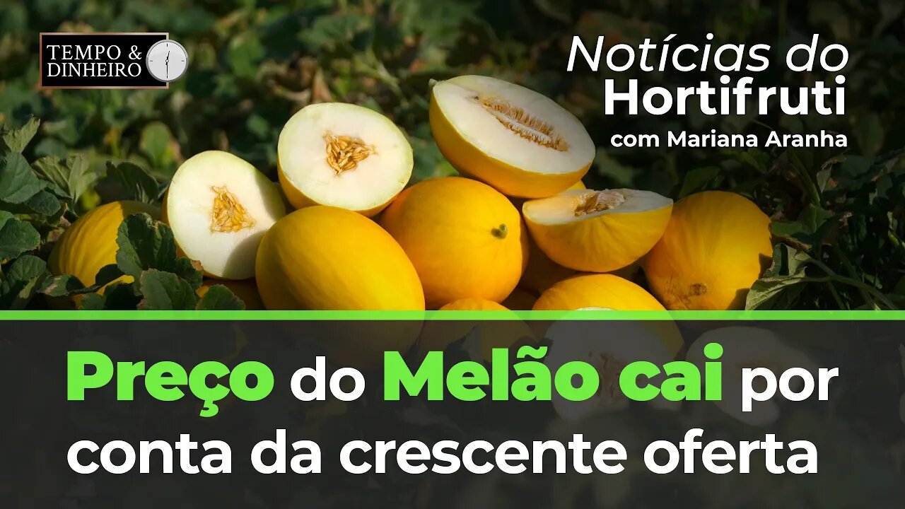 Notícias do Hortifrúti de olho no preço do Melão amarelo.