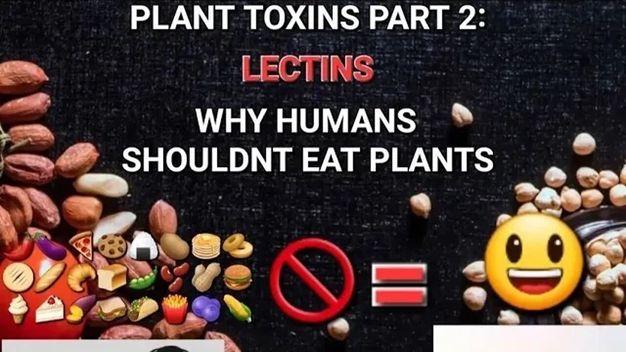 Plant Toxins Part 2: LECTINS | Why humans shouldn't eat plants