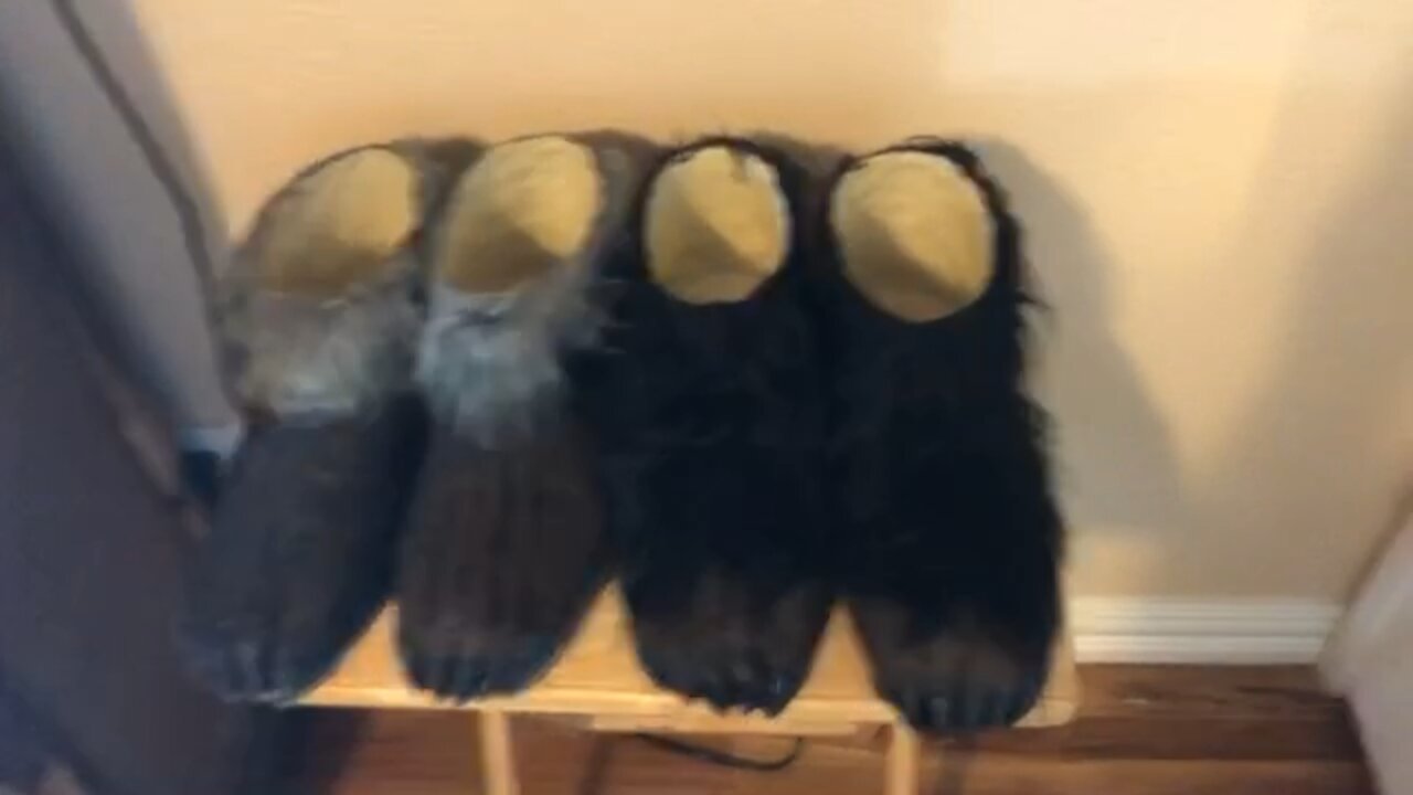 Werewolf feet 2019