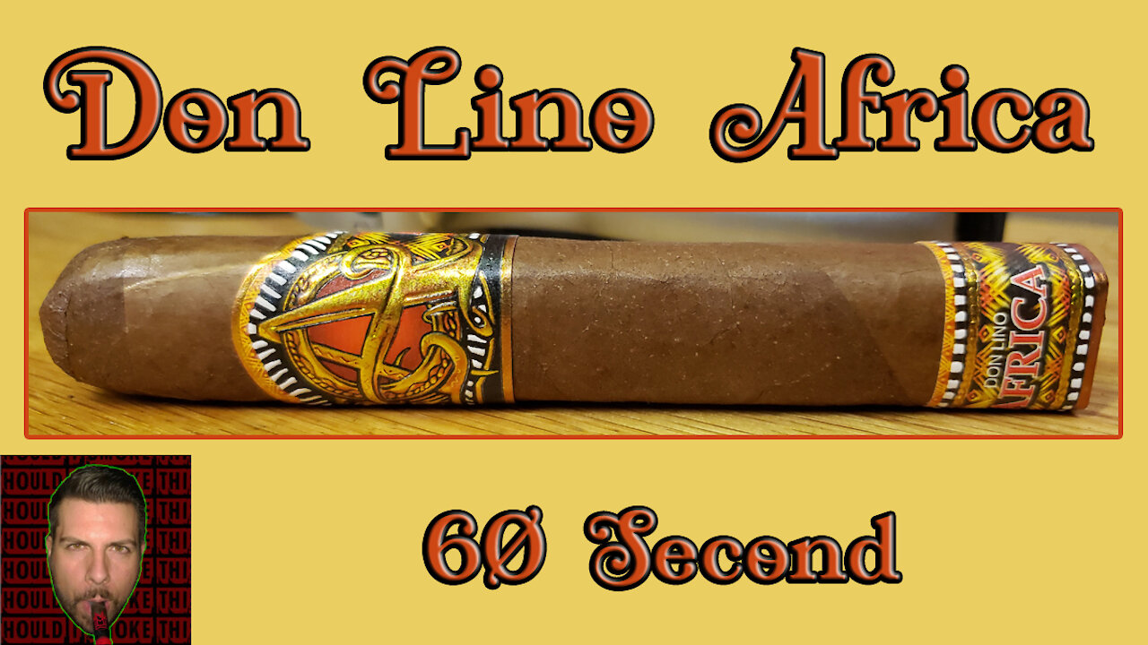 60 SECOND CIGAR REVIEW - Don Lino Africa - Should I Smoke This