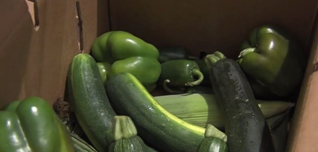 Publix donating food bought from farmers