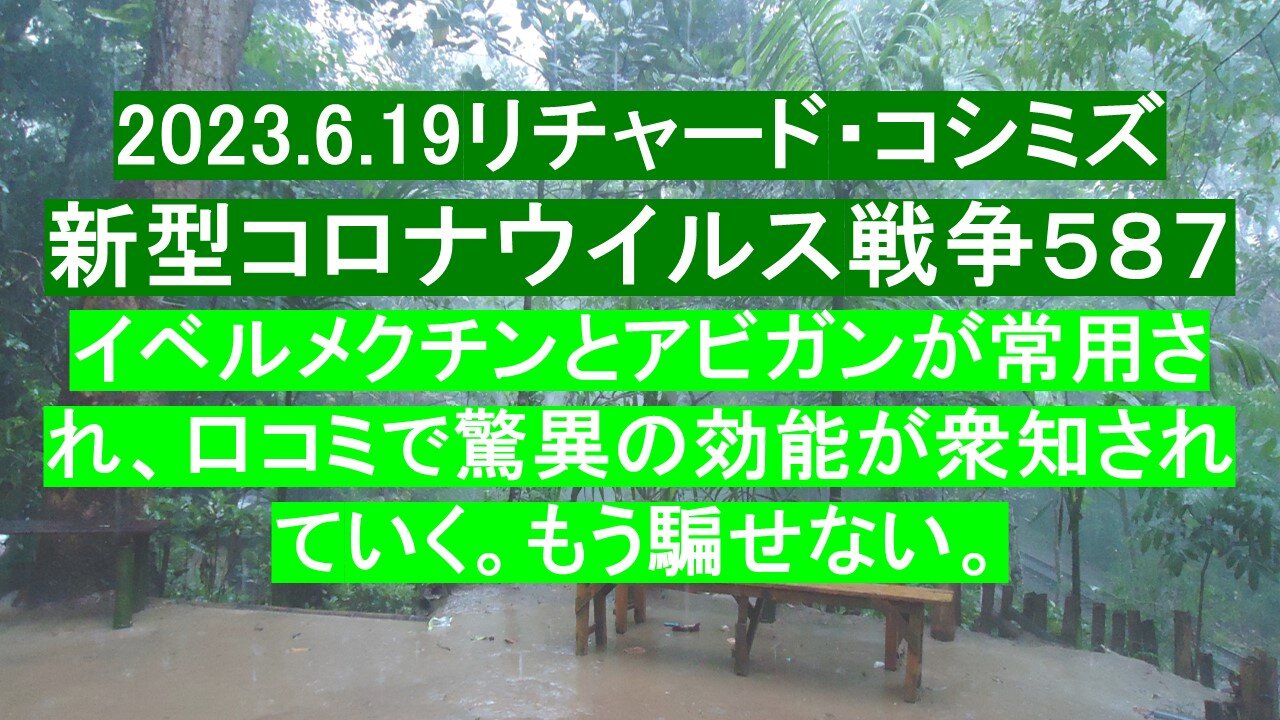 2023.6.19リチャード・コシミズ 新型コロナウイルス戦争５８７