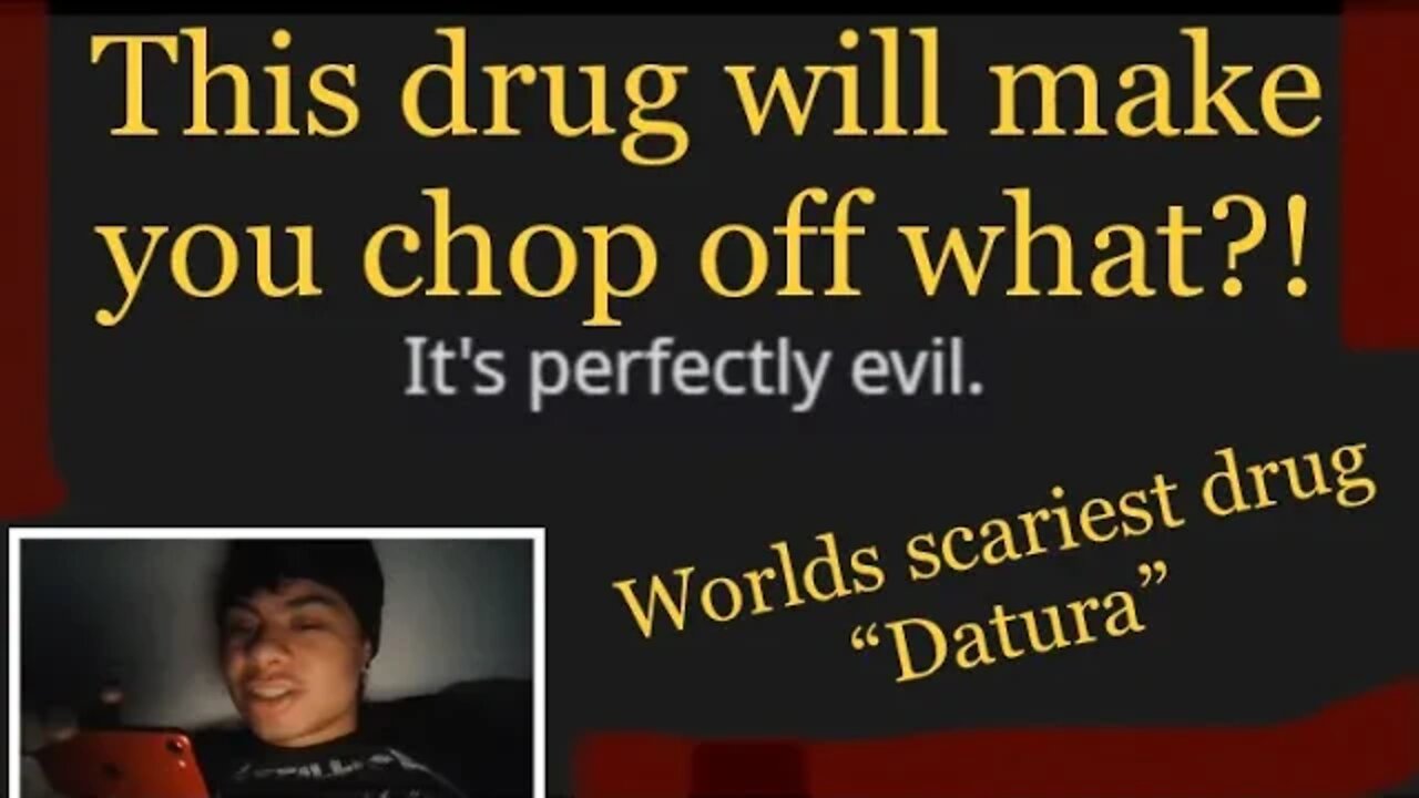 WORLDS SCARIEST DRUG | REDDIT TRIP STORIES “REACTION” | THE INFAMOUS “DATURA” FLOWER