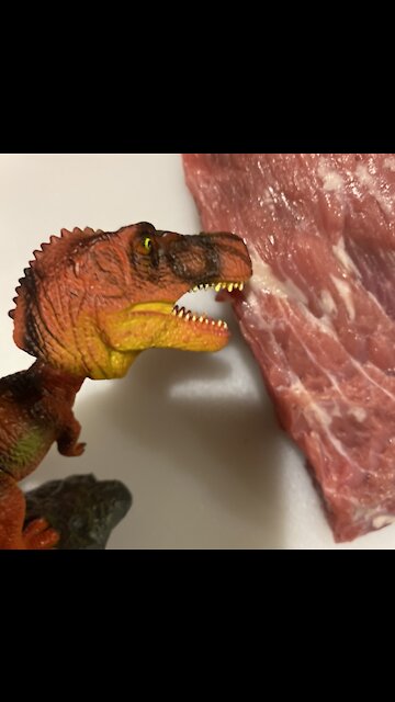 The Beef Jerky Dinosaur