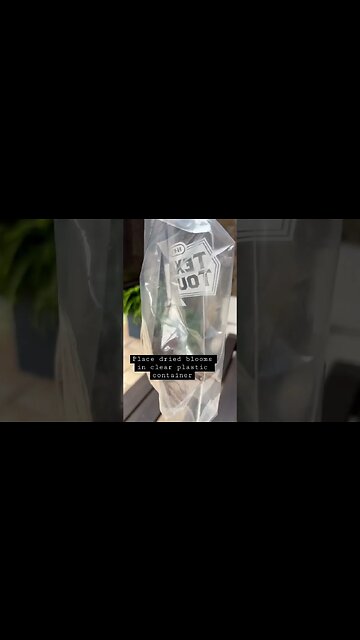 How to Save Wildflower Seeds#seeds #texasgardening #gardeningforbeginners