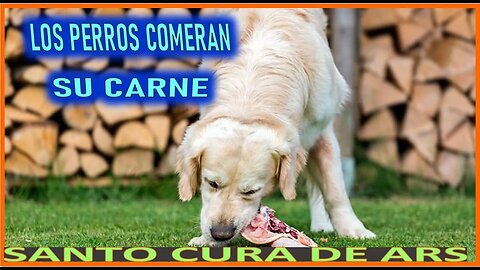 LOS PERROS COMERAN SU CARNE - SERMON DEL ORGULO IX POR EL SANTO CURA DE ARS