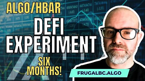 Algorand and HBAR DeFI Experiment: Six Month Review!