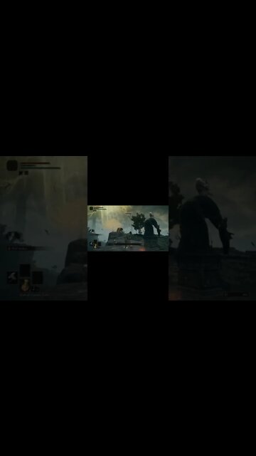 Elden Ring No Hit Birds