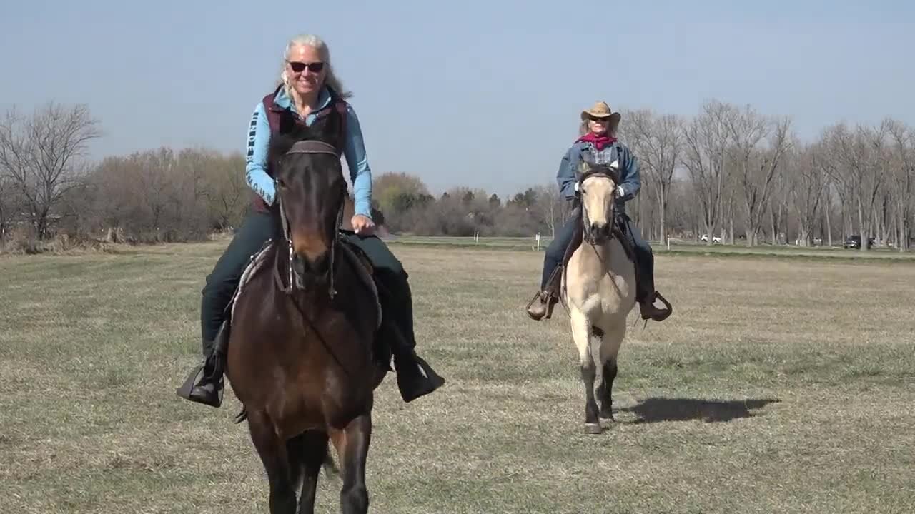 Horseback riders highlight the challenges they face on the trails