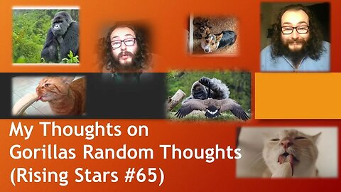 My Thoughts on Gorillas Random Thoughts (Rising Stars #65)