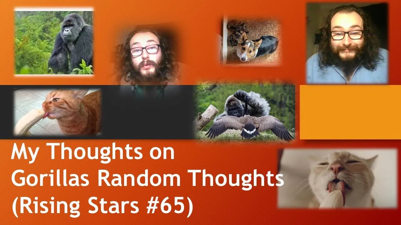 My Thoughts on Gorillas Random Thoughts (Rising Stars #65)