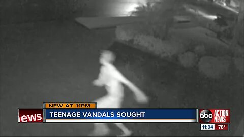 Group of minors caught on camera driving around in golf cart, damaging several Pasco County homes