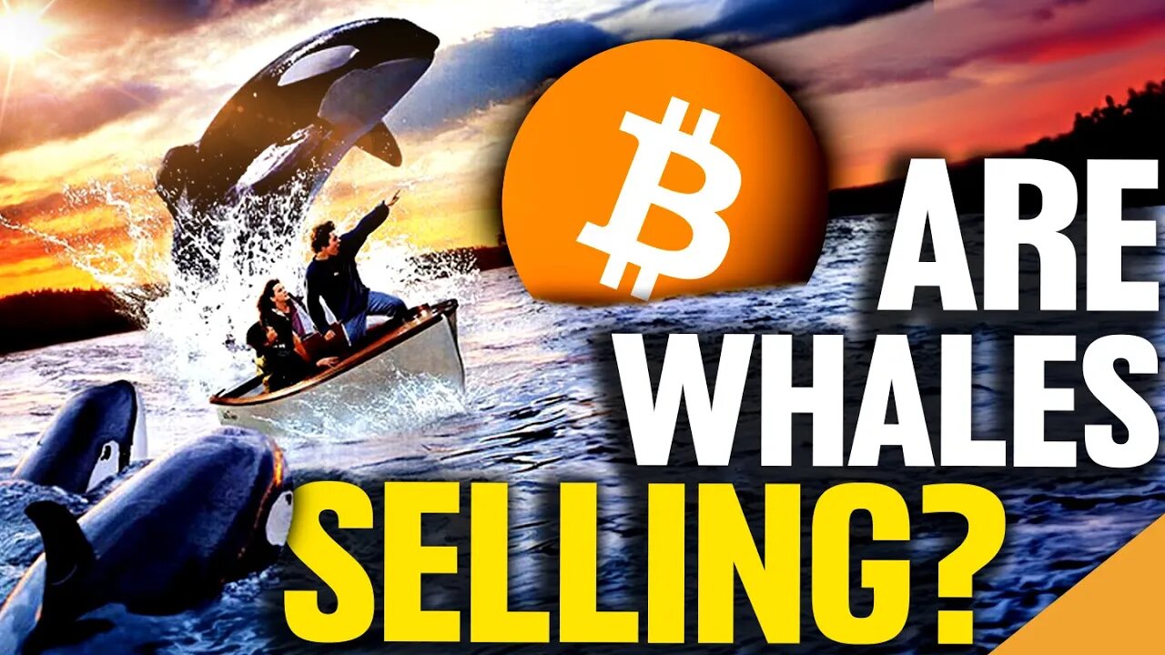 Bitcoin Whales Making BIG Moves! (Time To Sell?)