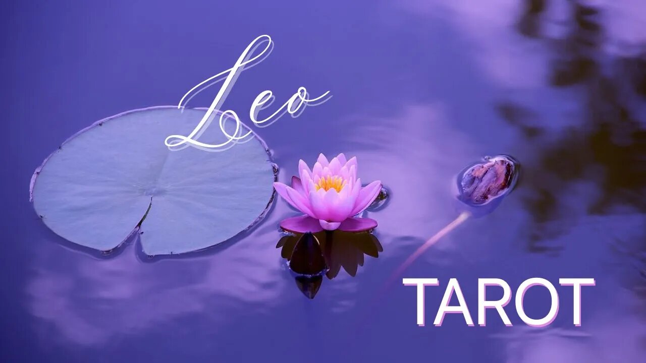 LEO NOVEMBER 2023 TAROT ♌️ MARRIAGE OR LONG TERM COMMITTMENT! #leo #tarot #oracle