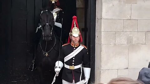Some of the best make ways and tourist reaction #horseguardsparade