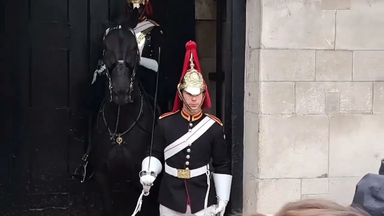 Some of the best make ways and tourist reaction #horseguardsparade