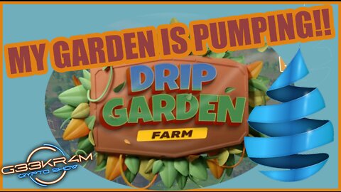 MY DRIP GARDEN PUMPING OUT PLANTS LIKE CRAZY GOT A COUPLE OF WHALES ON MY TEAM NOW