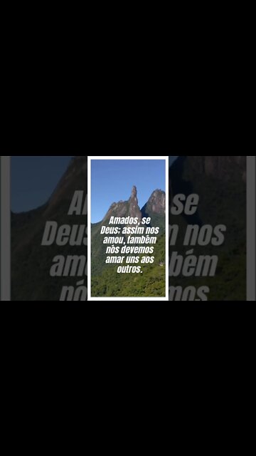 VERSÍCULO DO DIA 22/10/2022.#shorts