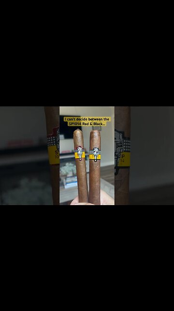 SP1014 Kombat! 🥷🏻 #cigar #cigars #mortalkombat