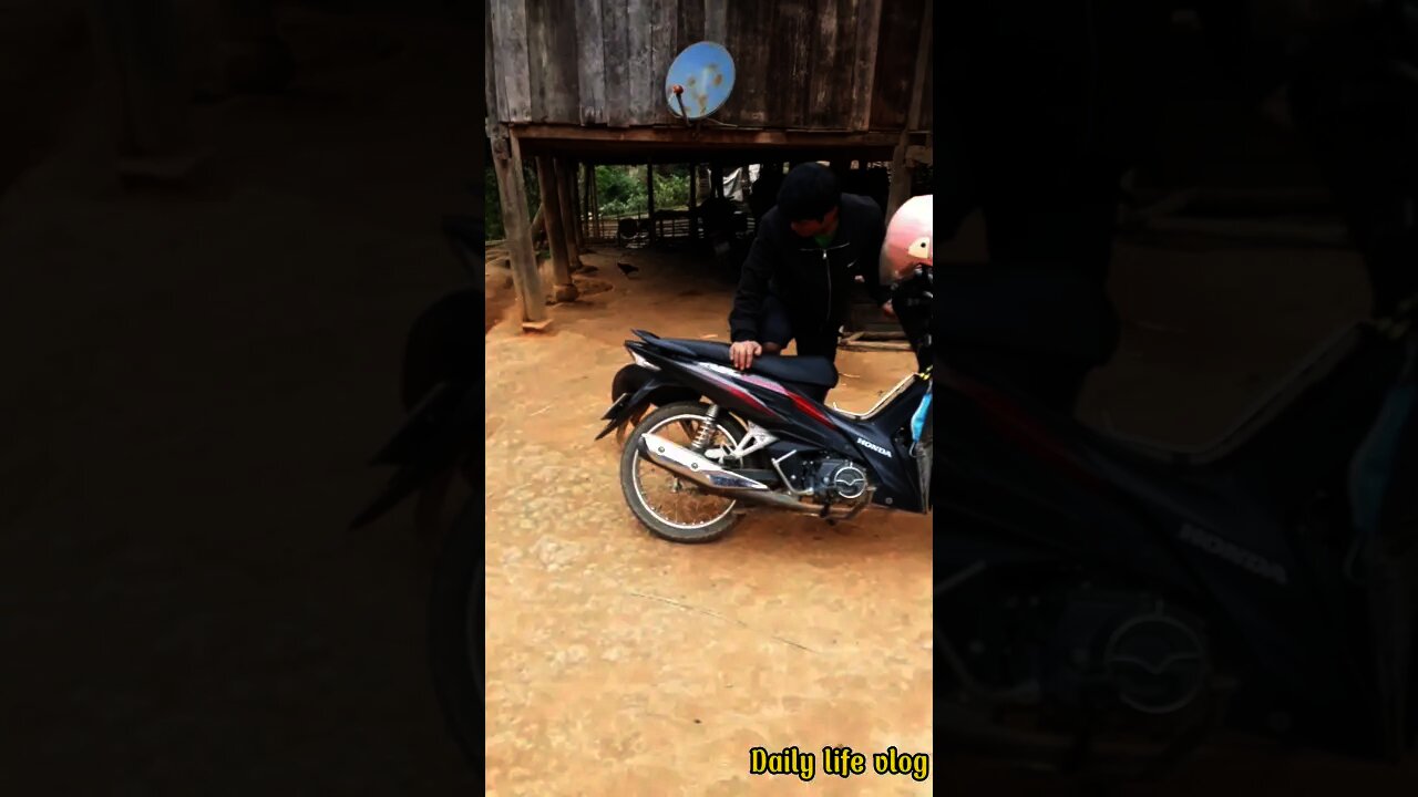 Naughty dog playing with its owner