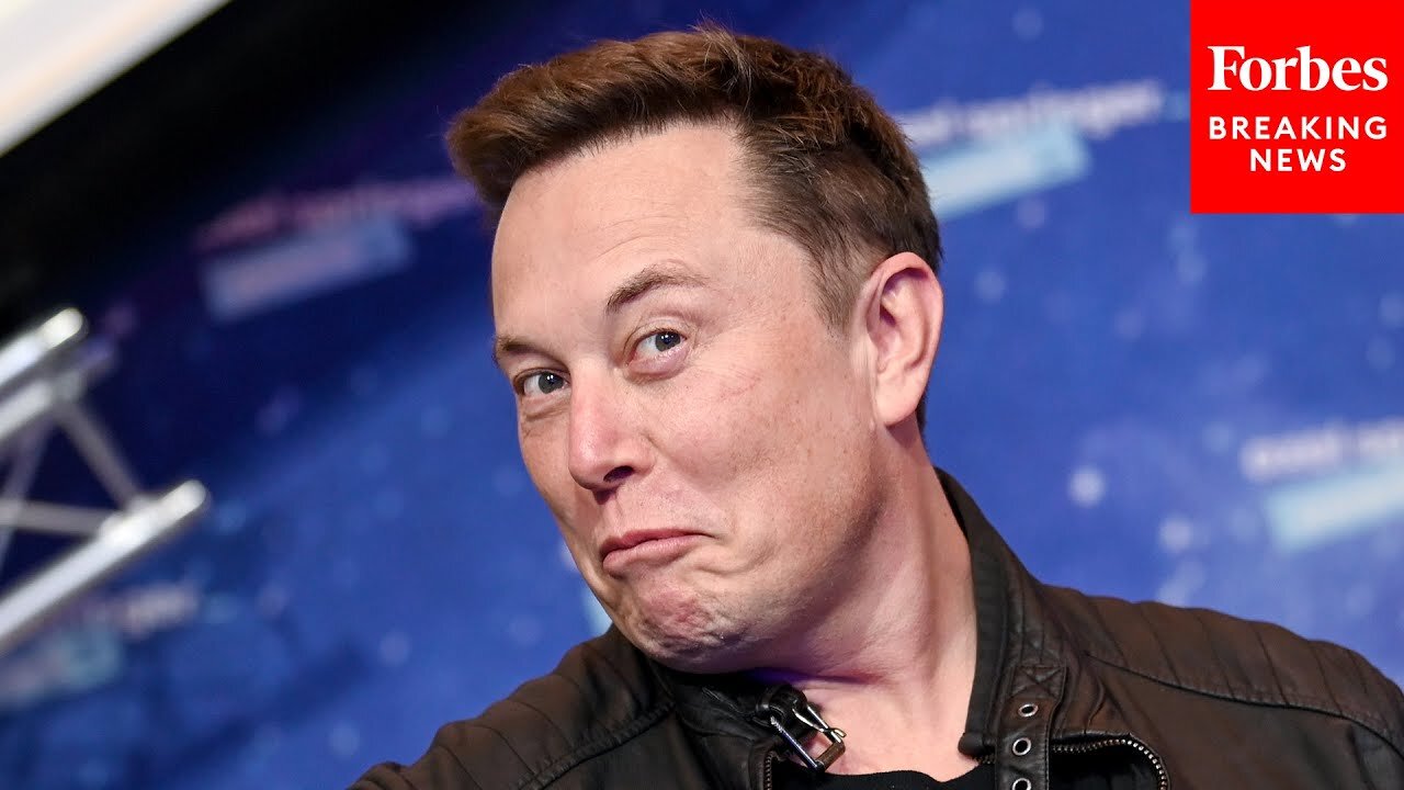 GOP Lawmaker Suggests Elon Musk Should Lead Department Of Transportation