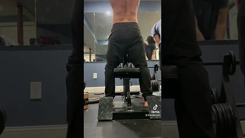 Back workout/ drop set negative