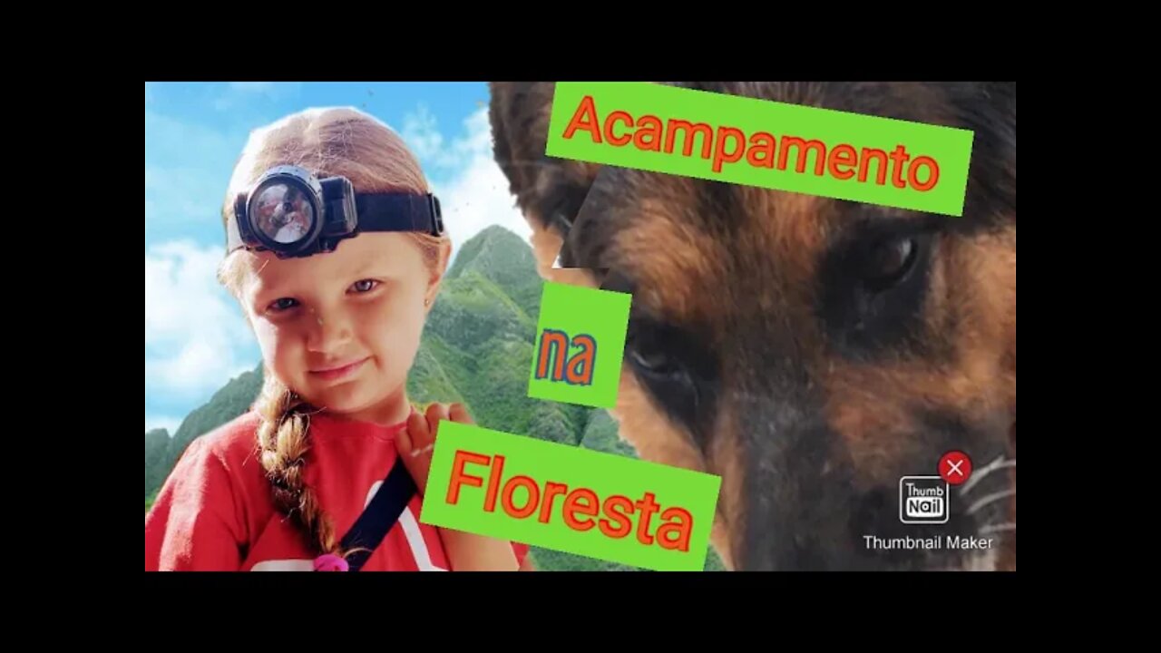 Acampamento na floresta - Histórinha