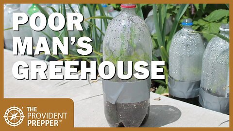 Poor Man's Greenhouse - A Guide to Winter Seed Sowing