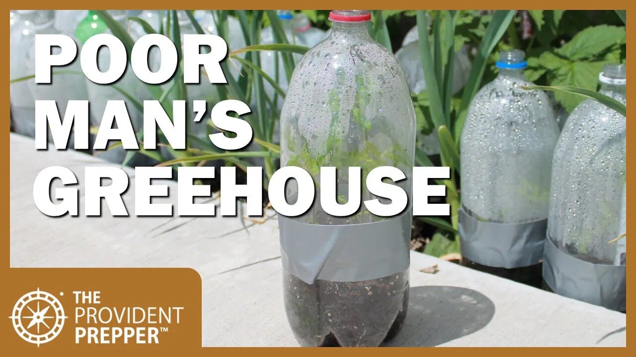 Poor Man's Greenhouse - A Guide to Winter Seed Sowing