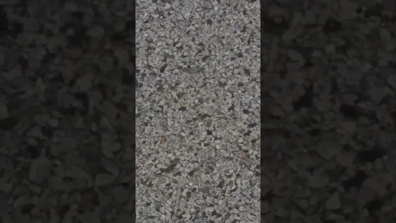 it's getting colder #shorts