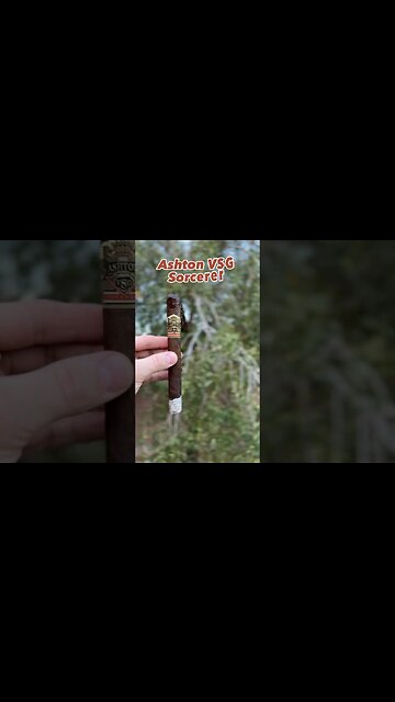 Quick Stick: Ashton VSG Sorcerer #shorts #smoke #cigars