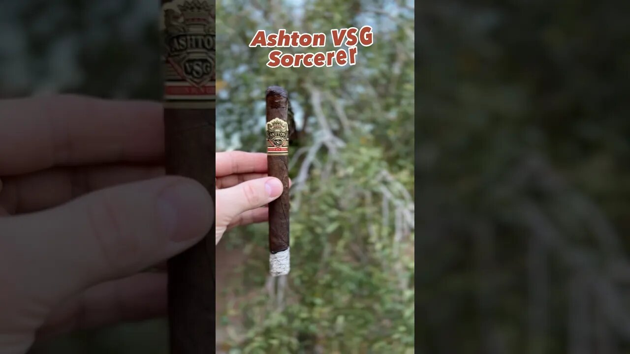 Quick Stick: Ashton VSG Sorcerer #shorts #smoke #cigars