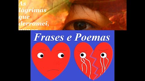 As lágrimas que derramei... [Frases e Poemas]