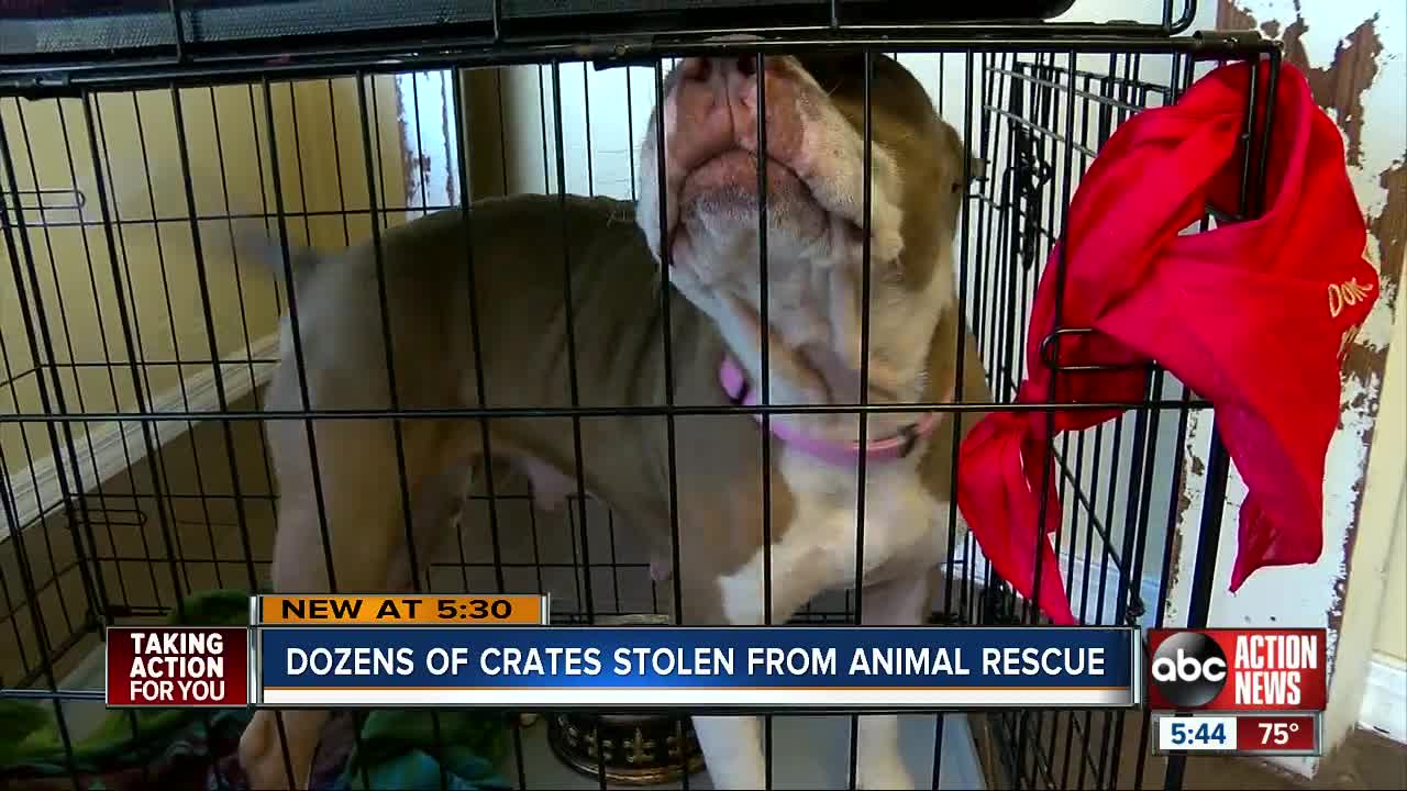 Dozens of crates, carriers used for sick and injured animals stolen from Ziggy's Legacy Rescue