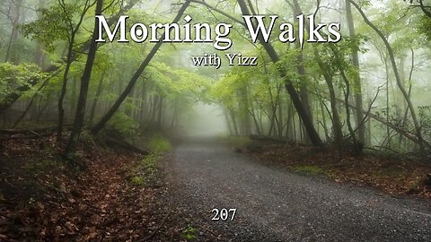 Morning Walks with Yizz 207