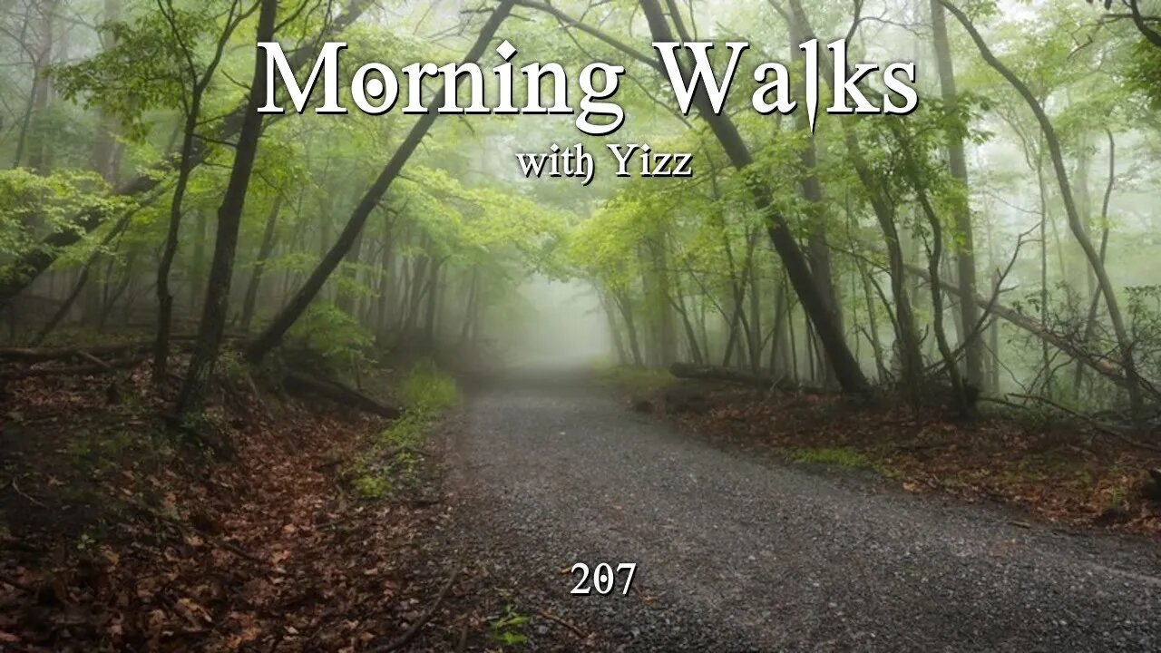 Morning Walks with Yizz 207
