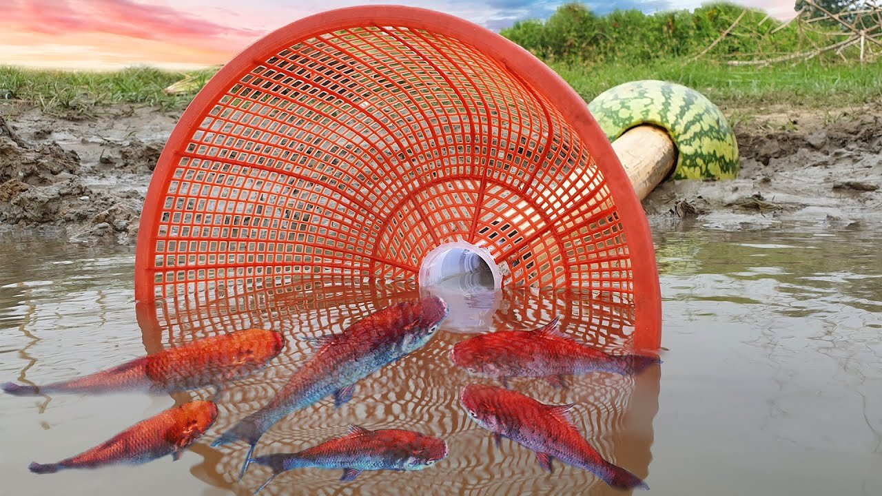 Girl Makes Unique Fish Trapping System Using Bamboo, Watermelon, and Bucket to Catch a Lot of Fishes