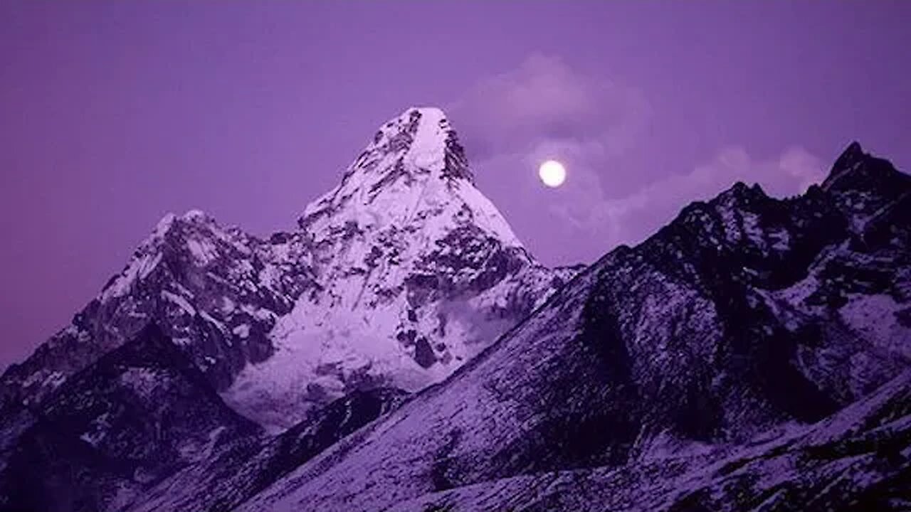 Capturing the Timeless Charms of the Natural World