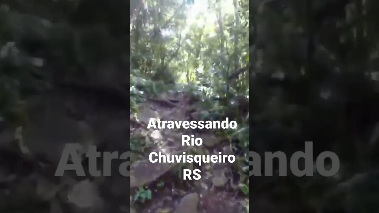 Trilha no rio Chuvisqueiro para ver Andorinhas