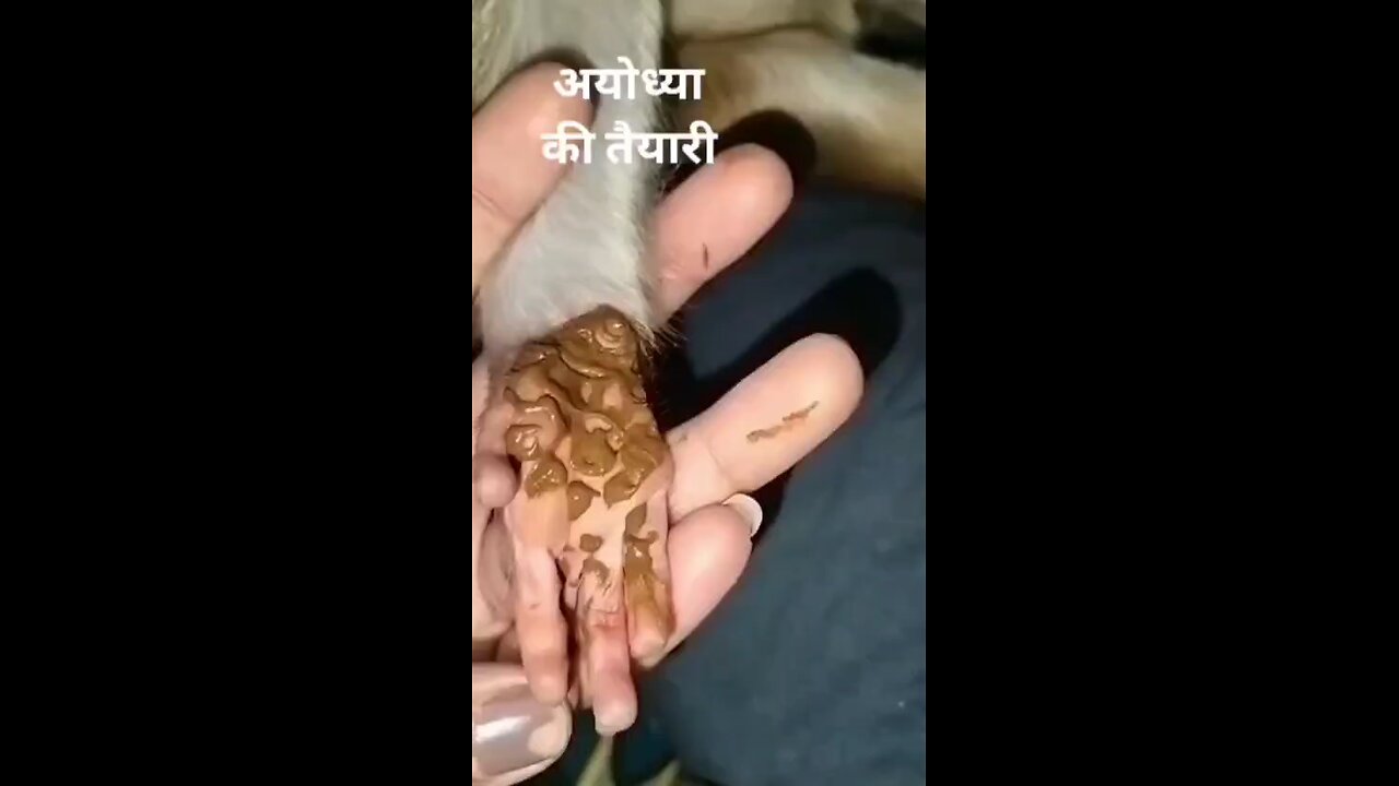 Ayodhya ki taiyari